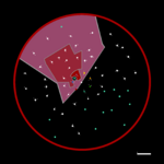 Map of Empire of Thipillia.png