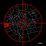 Kotismana in ST.png