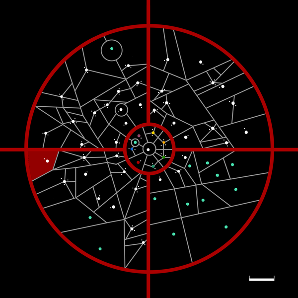 文件:Kotismana in ST.png