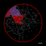 Map of Delchik People Empire.png