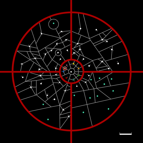 文件:U1 Chostennia.png