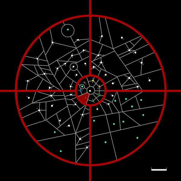 文件:Tallousfran in ST.png