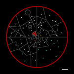 Map of Republic of Thipillia.png