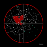 Map of Delchik People Union.png