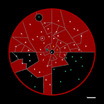 Map of Second Turchine Union After War.png