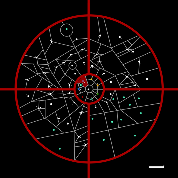 文件:Thipillia in Chostennia.png