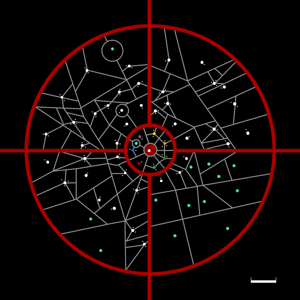 文件:Tiluminutus in ST.png